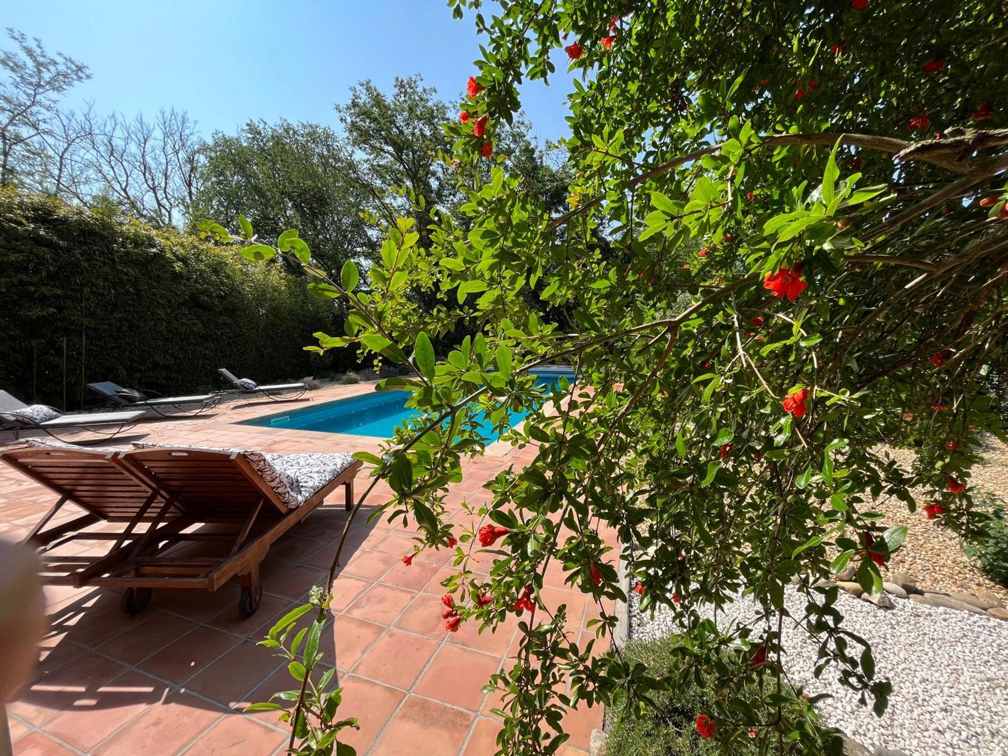 Chateau De Roquelune Pézenas Εξωτερικό φωτογραφία